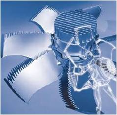 新宝GG—创造事业平台